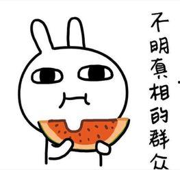 瓜哥吃瓜拍照文案说说