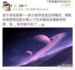 吃瓜入境,揭秘全球美食之旅