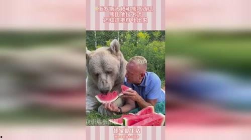 熊圈热点吃瓜,揭秘热点事件背后的吃瓜真相