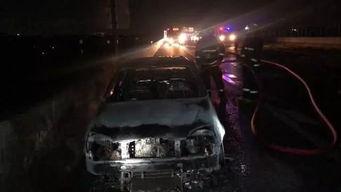 小车吃瓜排队,揭秘夏日街头独特现象