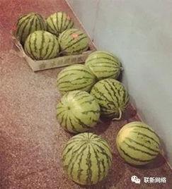 肥波吃瓜,揭秘娱乐圈幕后故事